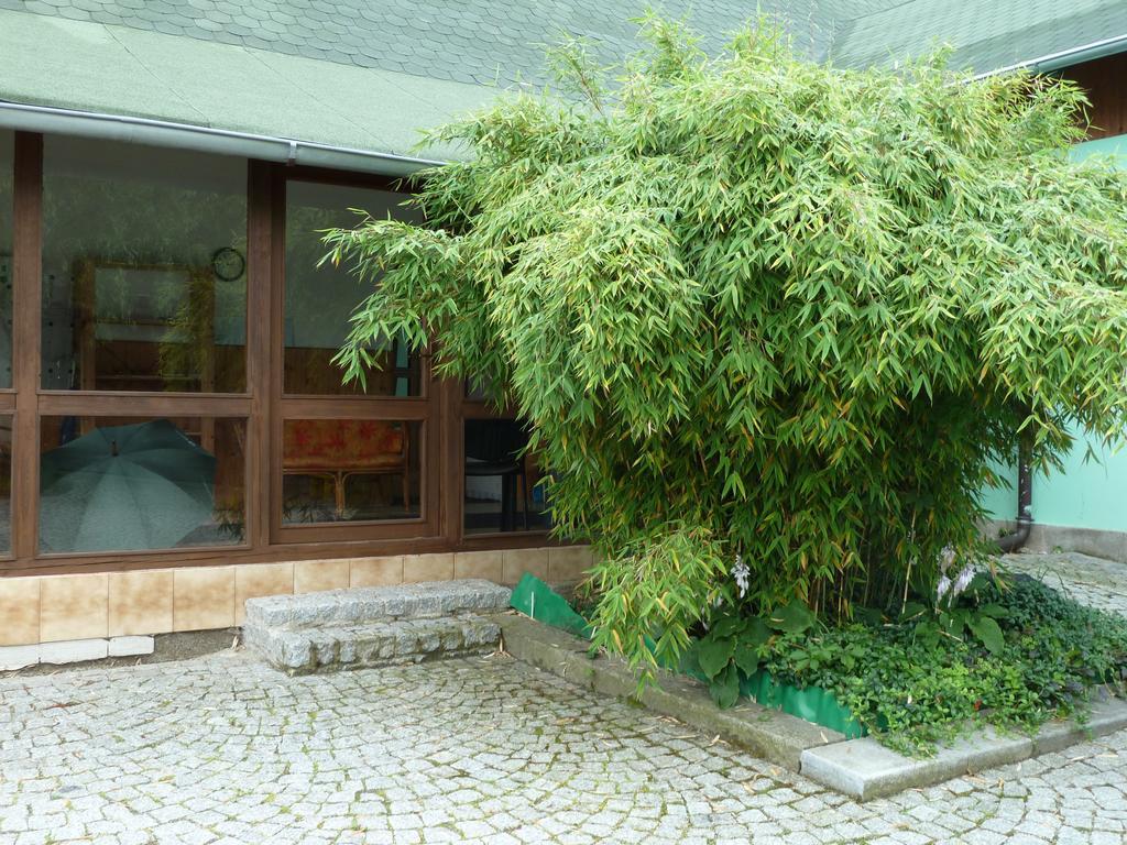 Ubytovani Mlyn Velke Losiny Exterior photo