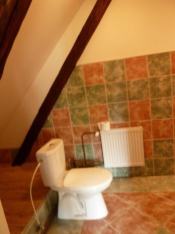 Ubytovani Mlyn Velke Losiny Room photo